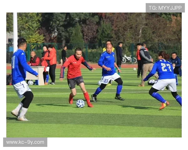 足球8人制比赛规则解析与技巧提升方案全面探讨